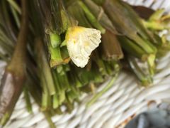 -慢丽江·云南野生菌土鸡锅(付家庄店)