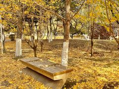 -长白岛森林公园