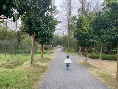 -前小桔亲子创意农场·草莓采摘·露营烧烤