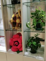 点击看大图 -Dr.林醫生产后修复·配方产康店(南京大厂店)