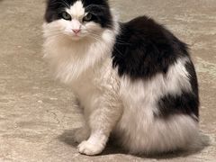 -自由生长植物工作室(深港花卉中心店)