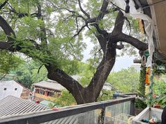 -王歘歘·chuǎ火锅(五道营店)
