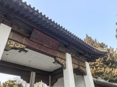 -团结湖公园