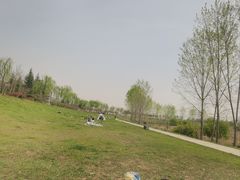 -洨河生态公园