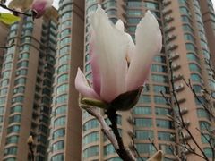 -晓港公园