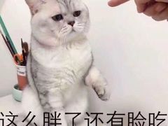 -1点点(晒布店)