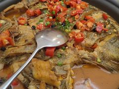 -洞庭家宴·头牌甲鱼(广渠门店)