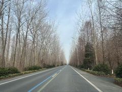 -盐城丹顶鹤湿地生态旅游区