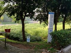 -深圳观澜格兰云天国际酒店