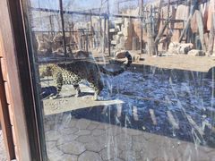 -沈阳森林动物园