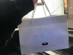-BLACKSWAN黑天鹅(环球店)