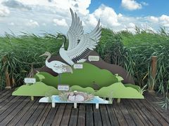 -黑龙江扎龙生态旅游区