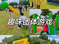 -松山湖南湖湾露营营地