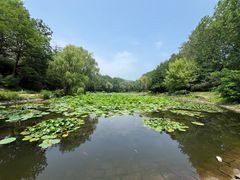 -棒棰岛宾馆景区
