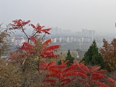 -府君山公园
