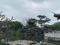-顺峰山公园
