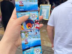 -青鱼湾水上乐园