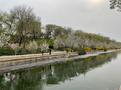 -元大都城垣遗址公园