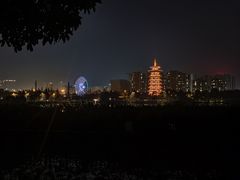 -洋湖国家湿地公园