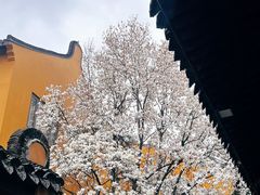 -龙华寺