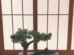 -文三酒肆自助放题(新街口友谊广场店)