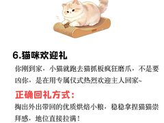 -瑞鹏宠物医院·骨外科·心肾科·肿瘤科(九亭店)