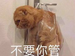 -和颐至尊酒店(北京望京798店)