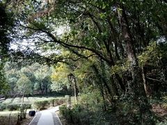 -灵岩山风景区
