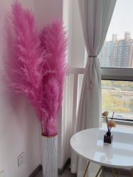 -变美丽半永久纹眉连锁·机器野生眉·洗眉