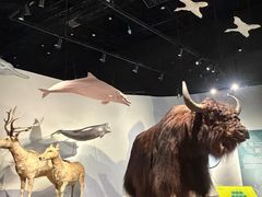-中国湿地博物馆