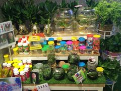 -物美超市(金宝街店)