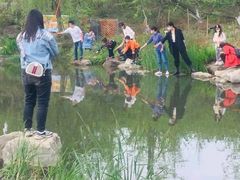-秀丽东方
