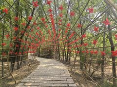 -西青郊野公园
