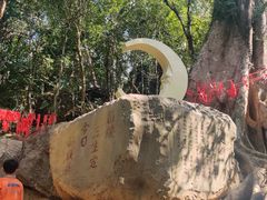 -七仙岭温泉国家森林公园