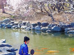 -圆明园遗址公园-藻园门售票处