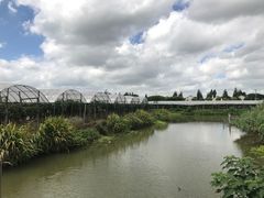 -马陆小张葡萄园农家乐