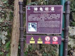 -藏龙百瀑风景区