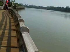 -东寨港红树林旅游区