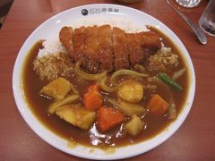 Fried&nbsp;Salmon&nbsp;Curry&nbsp;with&nbsp;Vegetable-COCO壱番屋(北京平安国际金融中心店)