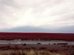 -红海滩国家风景廊道