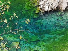 -叠溪松坪沟景区