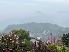 -四明山国家森林公园