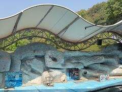 -泉州海丝野生动物世界