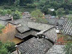 -杨家堂村