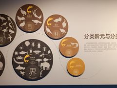 -四川大学博物馆