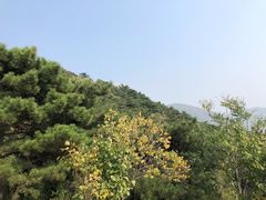 -北京十三陵国家森林公园蟒山景区