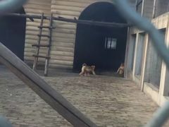 -西安秦岭野生动物园