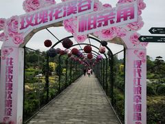 -都江堰玫瑰花溪谷