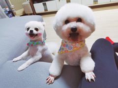 -喵汪宠物生活馆(涞坊路店)