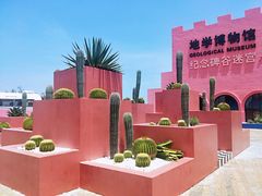 -漳州滨海火山岛自然生态风景区